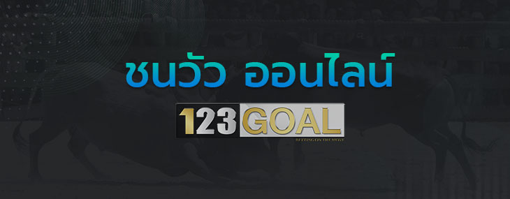 ชนวัว 