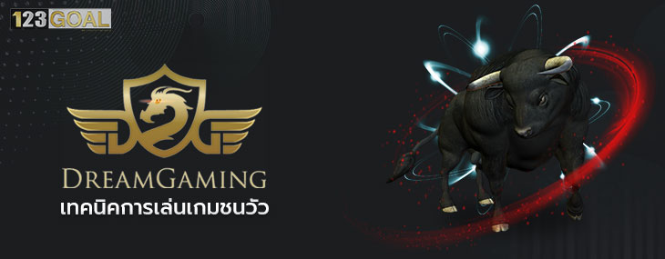 ชนวัว 