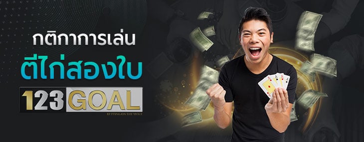 ตีไก่