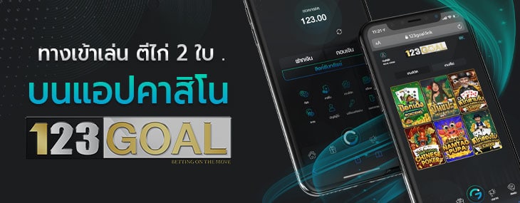 ตีไก่